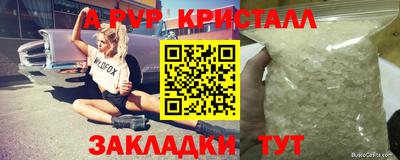 гашик Кимры