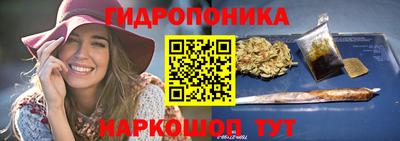 гашик Кимры