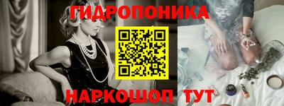 гашик Кимры