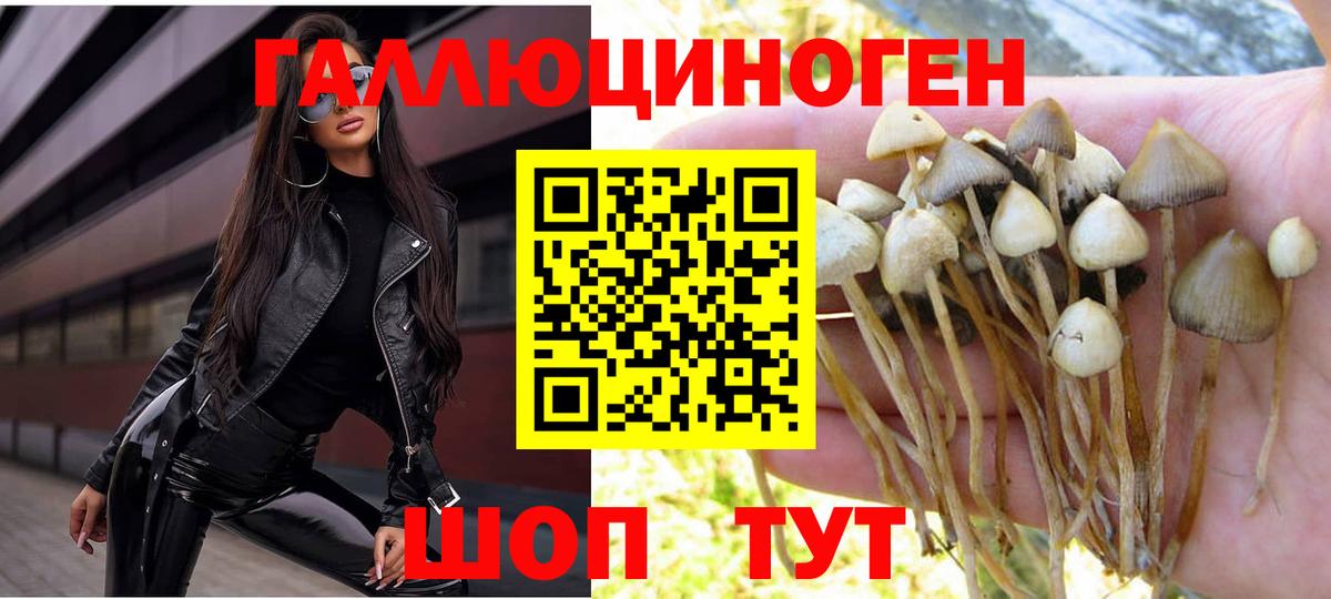 Галлюциногенные грибы MAGIC MUSHROOMS  Галлюциногенные грибы ЛСД  Кубинка  Вход с VPN 